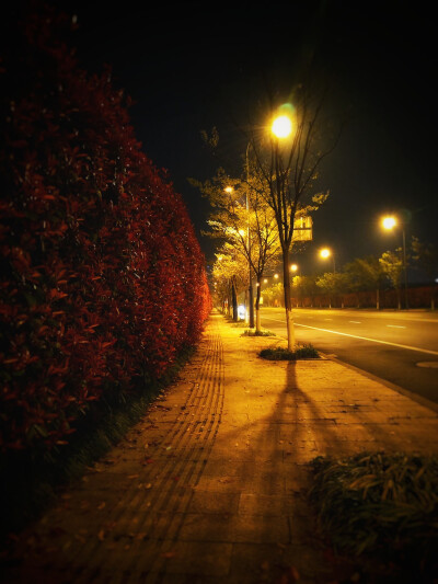 路边的风景