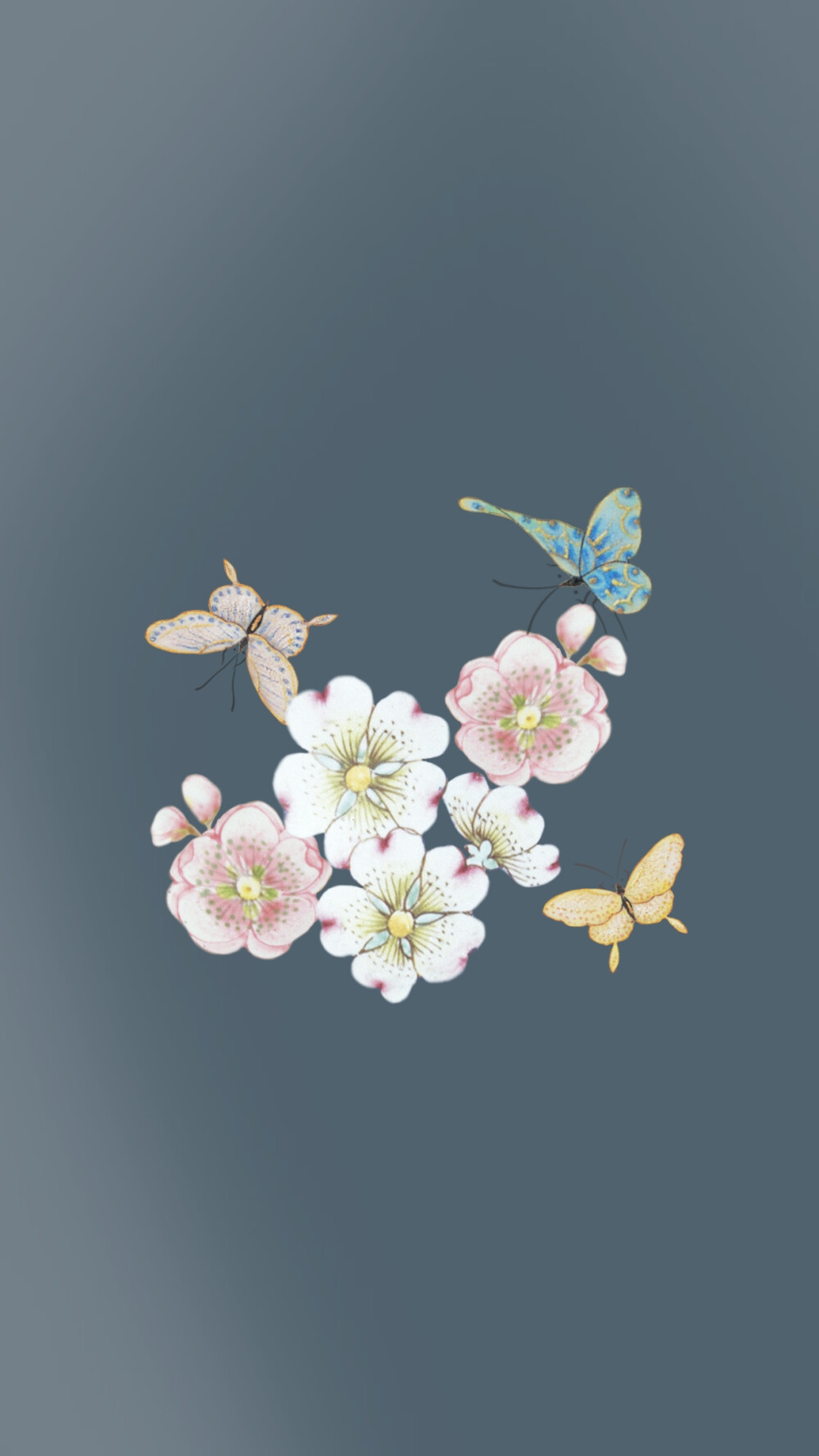 壁纸❤️（素材源MT）