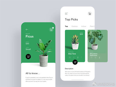 绿植 app 界面 UI 设计欣赏。#求是爱设计#