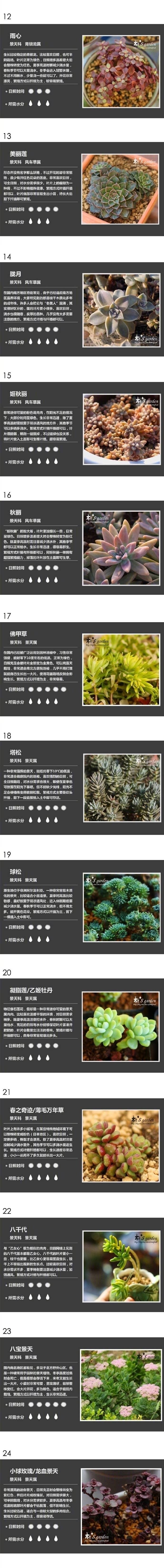 【多肉植物小知识】100种多肉植物名称及多肉种植方法，第一次看到这么齐全的，收!