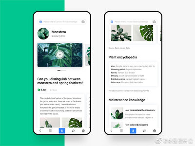 绿植 app 界面 UI 设计欣赏。#求是爱设计#