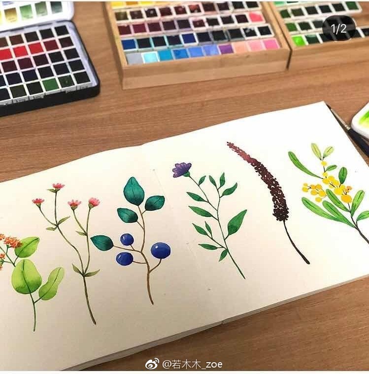 孤独即是自由水彩花卉by:soho0331 via 若木木_zoe