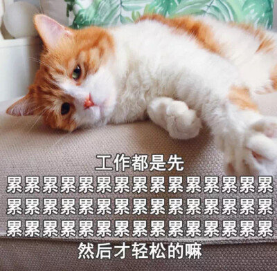 不断循环的心路历程(๐•̆ ·̭ •̆๐