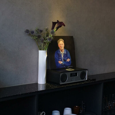 种上几颗楼房 身体地下慢慢长出 远古巨人在危楼即将拆迁现身逃脱市区