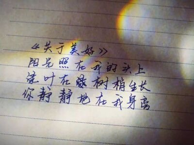 手写文字.感情.评论