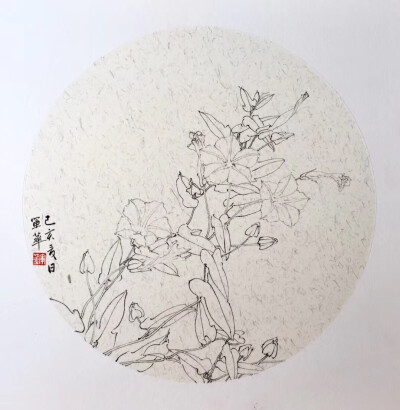 凌老师的卡片画