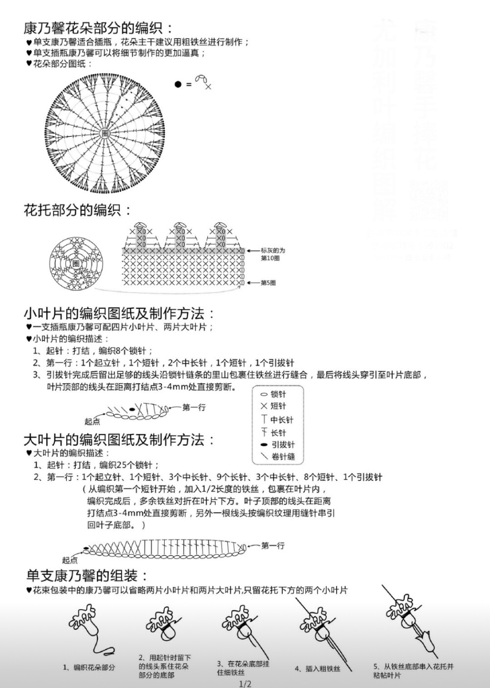 康乃馨