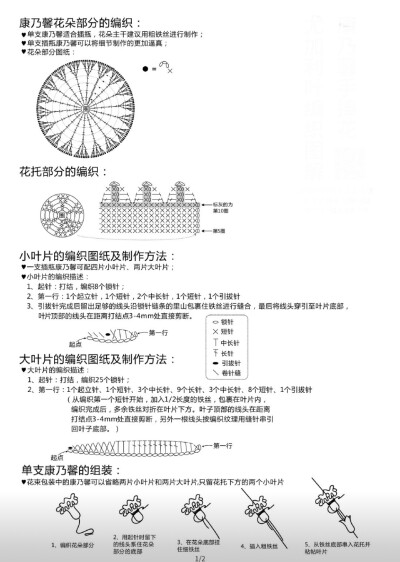 康乃馨