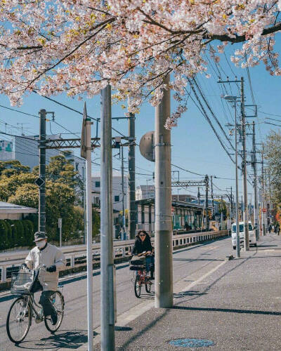 晴空万里的日本镰仓☁️ ins:yongfeel