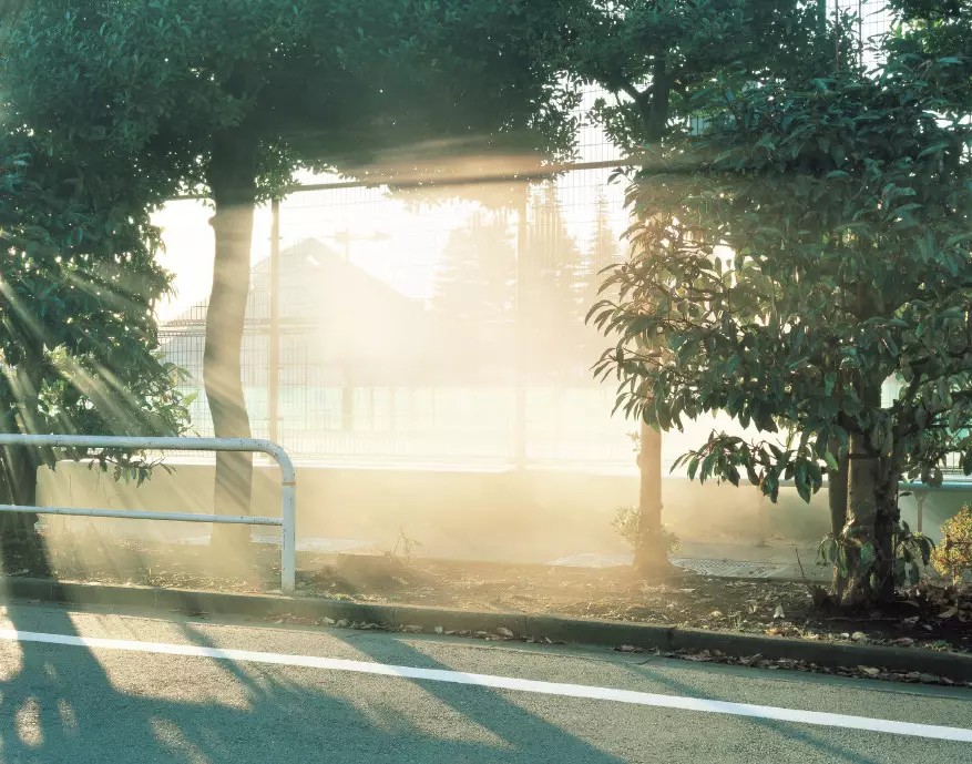 Photograph「光的存在」-滨田佑史