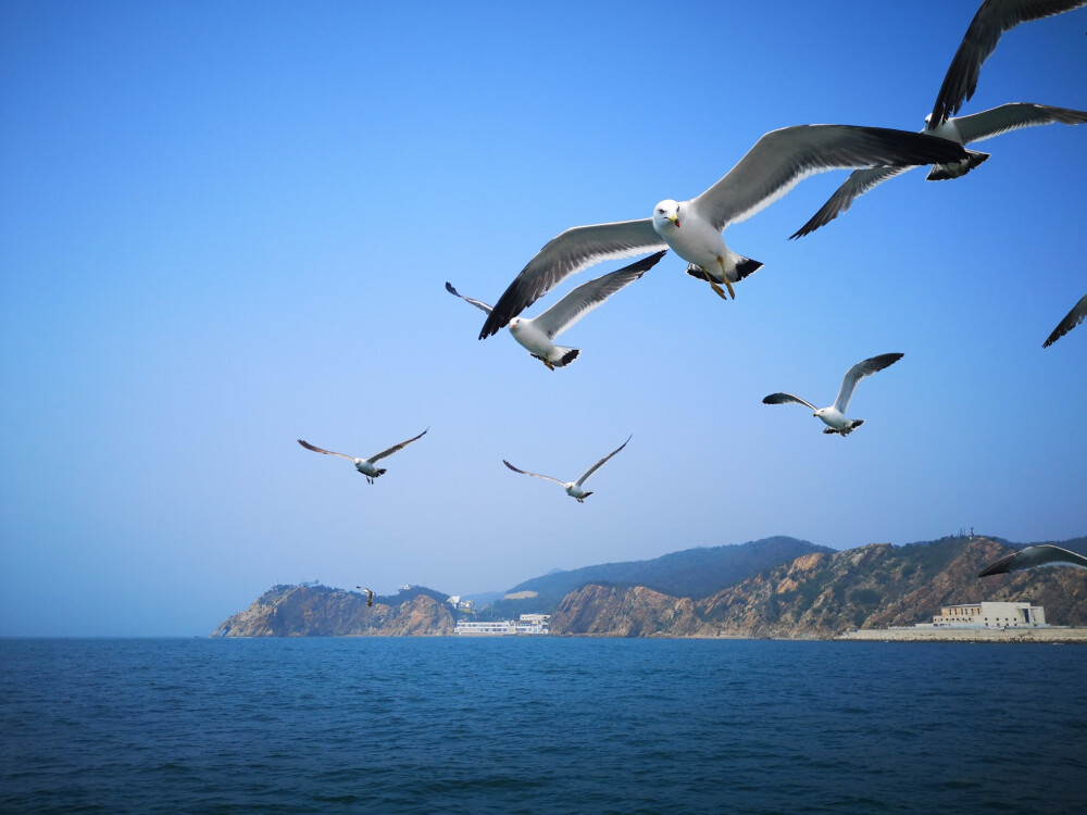 这是一个浪漫滴城市