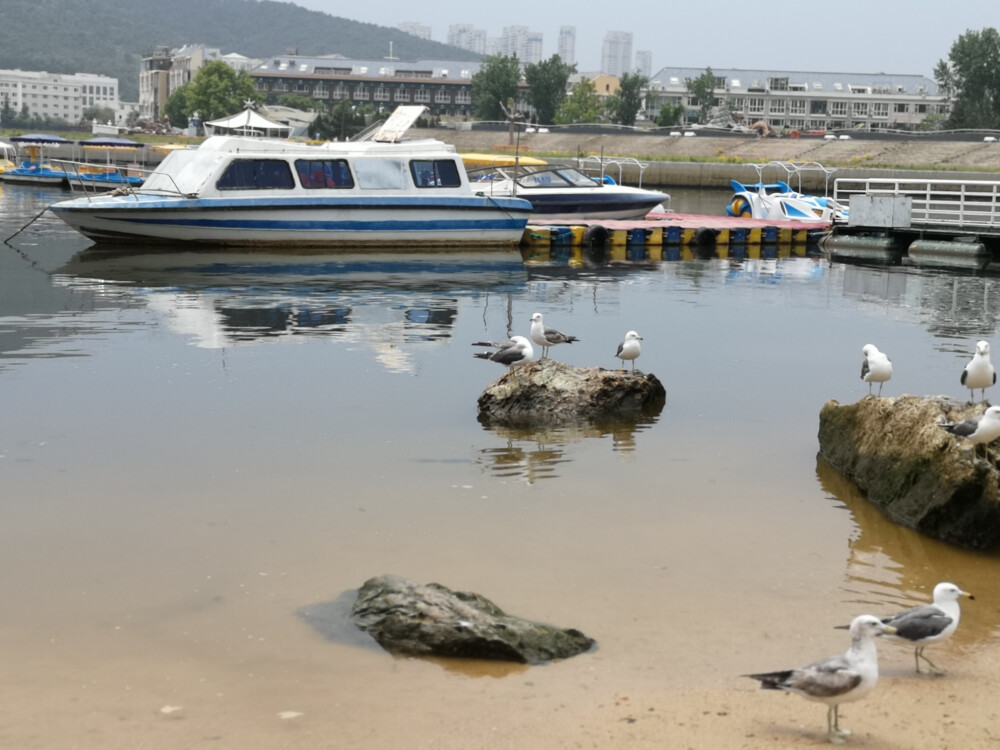 这是一个浪漫的城市