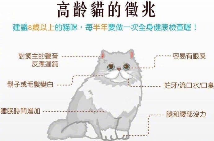 猫知识