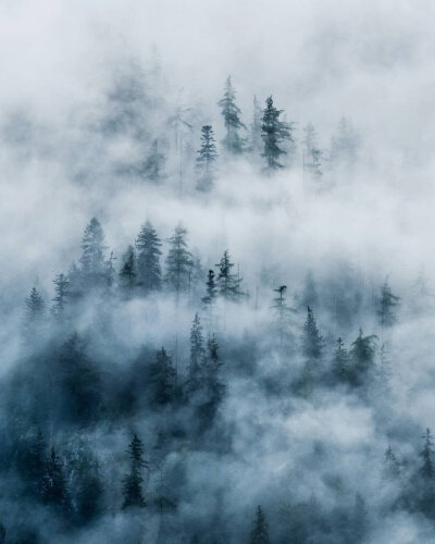 点赞后，六月里，你梦寐以求的东西会悄然而至 