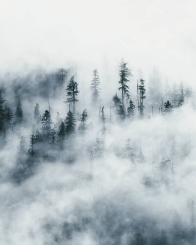 点赞后，六月里，你梦寐以求的东西会悄然而至 