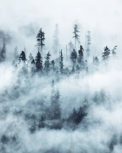 点赞后，六月里，你梦寐以求的东西会悄然而至 