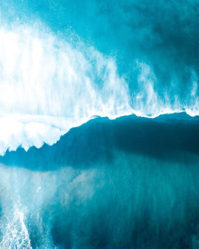 十天内，顺利跨过所有的坎