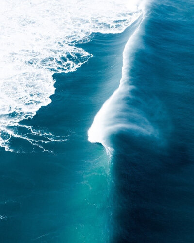 十天内，顺利跨过所有的坎