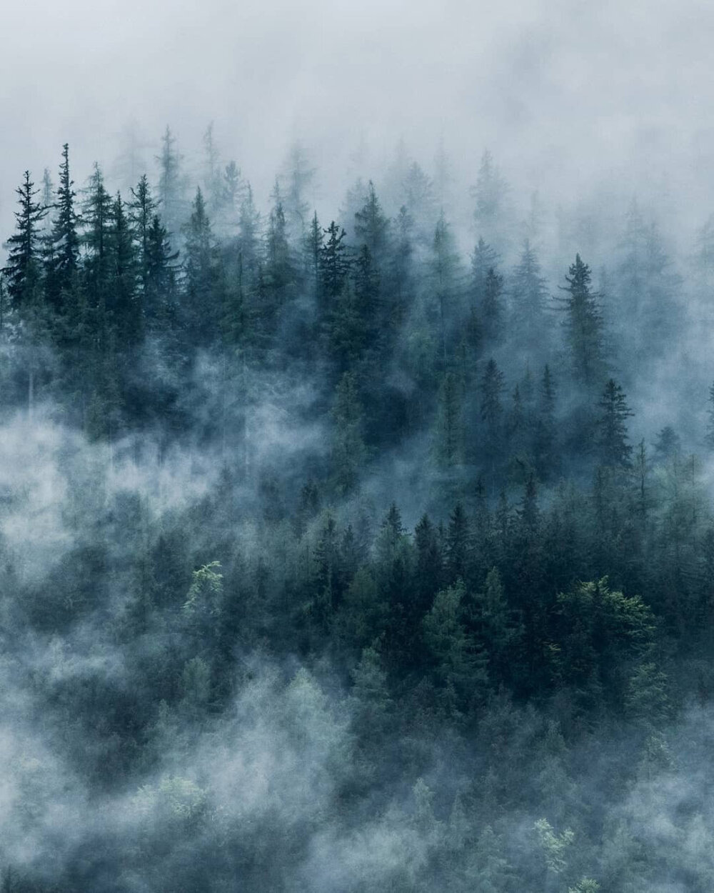 点赞后，六月里，你梦寐以求的东西会悄然而至 