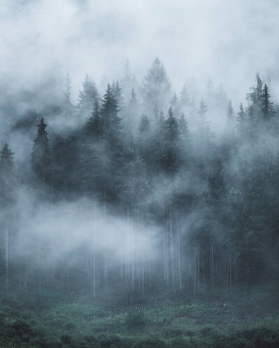 点赞后，六月里，你梦寐以求的东西会悄然而至 