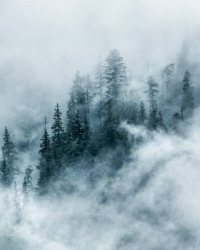 点赞后，六月里，你梦寐以求的东西会悄然而至 