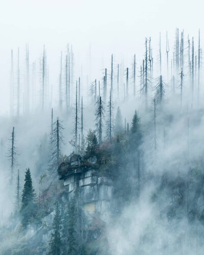 点赞后，六月里，你梦寐以求的东西会悄然而至 