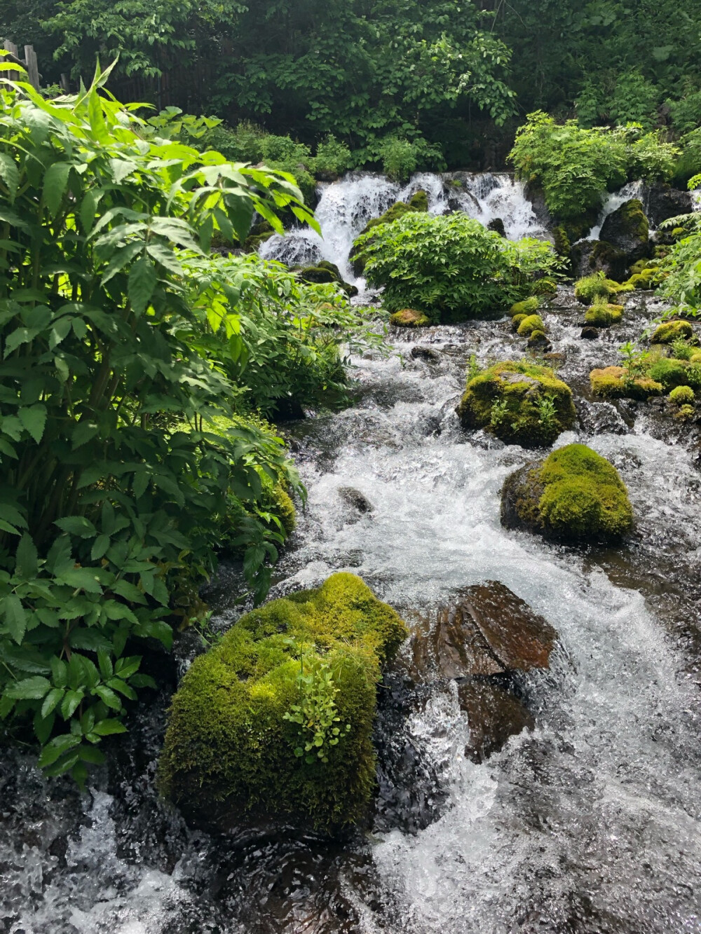 京极名水公园