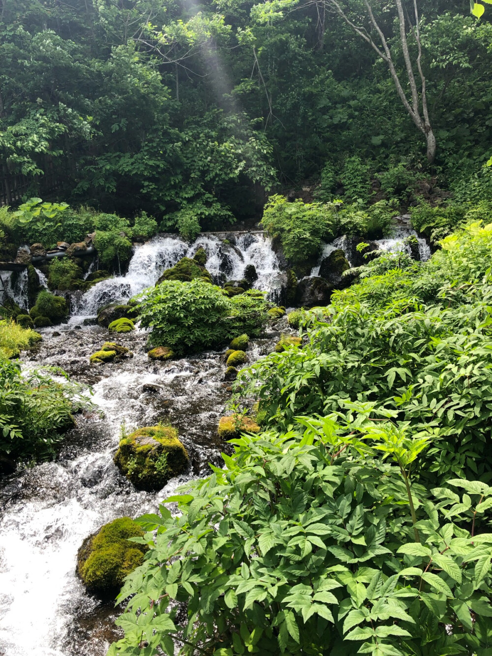 京极名水公园