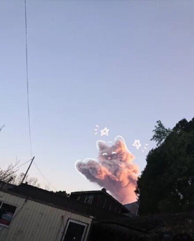 天空有只猫