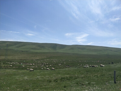 蓝天有白云，草原有牛羊。