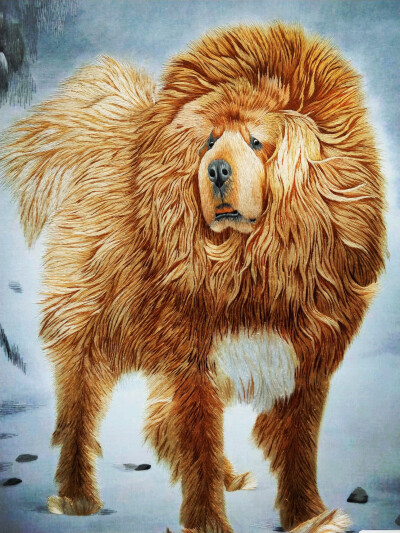 用牛毛和羊毛织的藏族作品