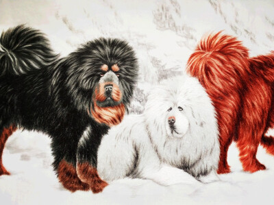 用牛毛和羊毛织的藏族作品