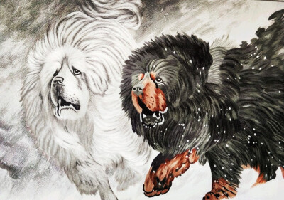 用牛毛和羊毛织的藏族作品