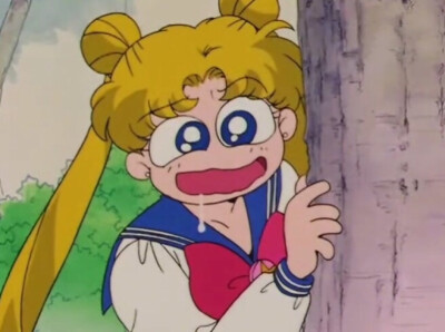 美少女战士.自截.禁传.月野兔.