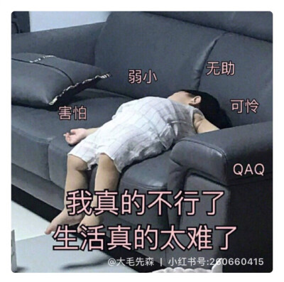 表情包