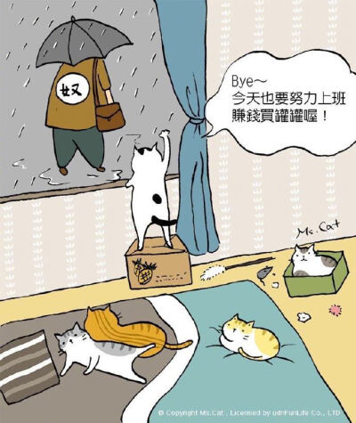 今天也要努力上班喲！by/FB/貓小姐Ms.Cat