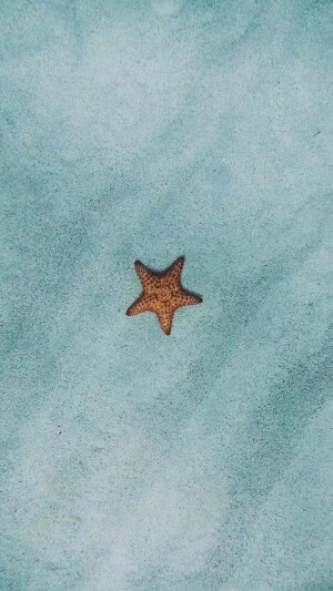 【Dcherry丁樱桃】壁纸