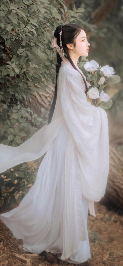 古风，清酒落颜