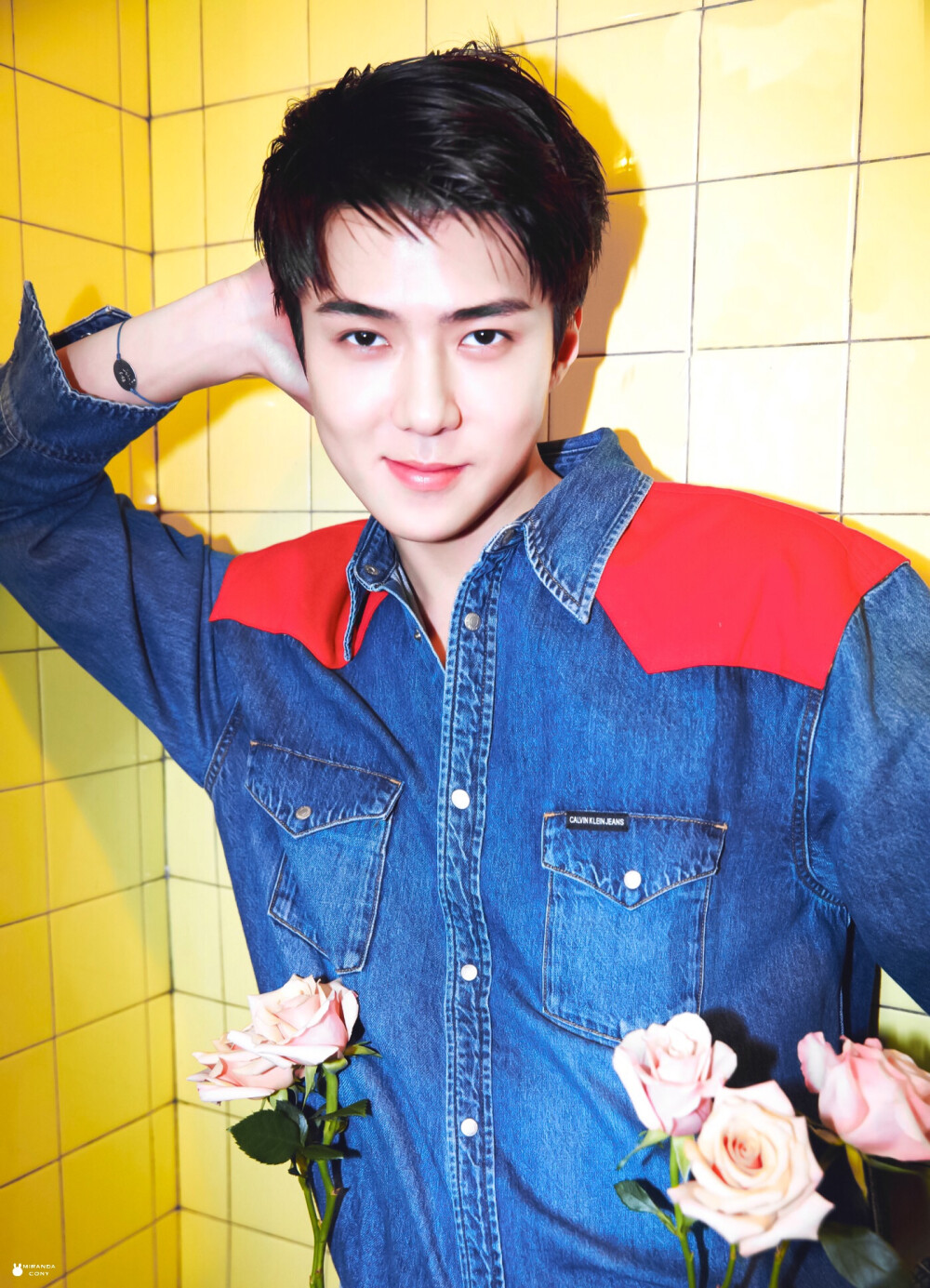 EXO 吴世勋 SeHun cr：MirandaCony