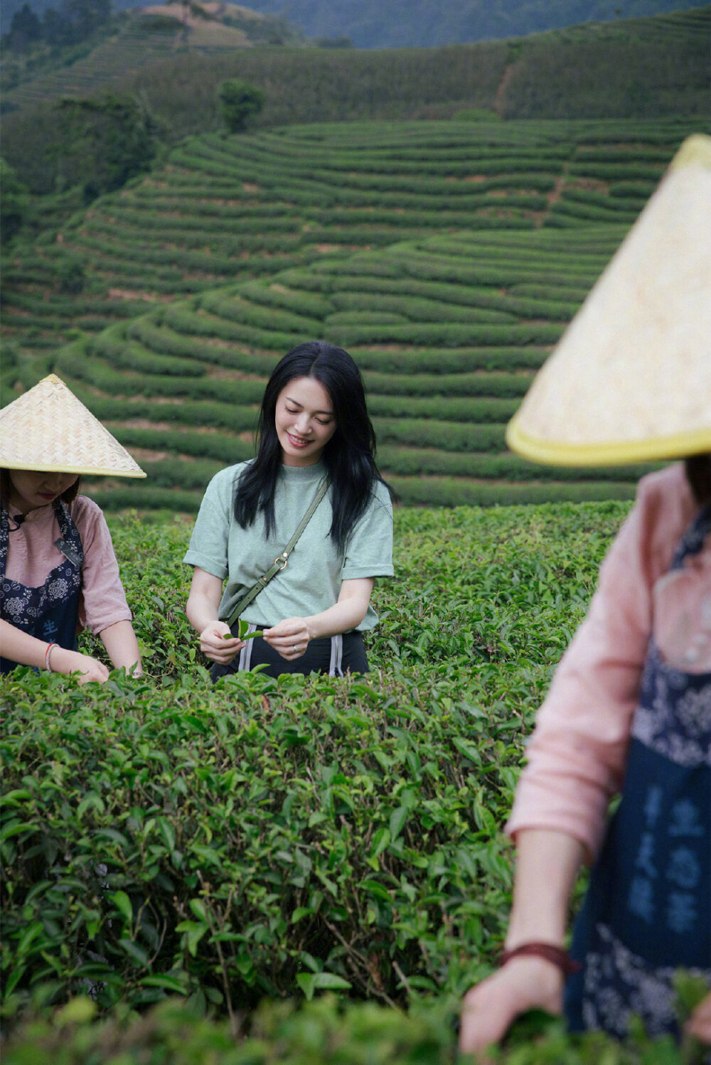 姚晨在武夷山茶园的一组写真，有种沁人心脾的清新自然 [微风_offline]