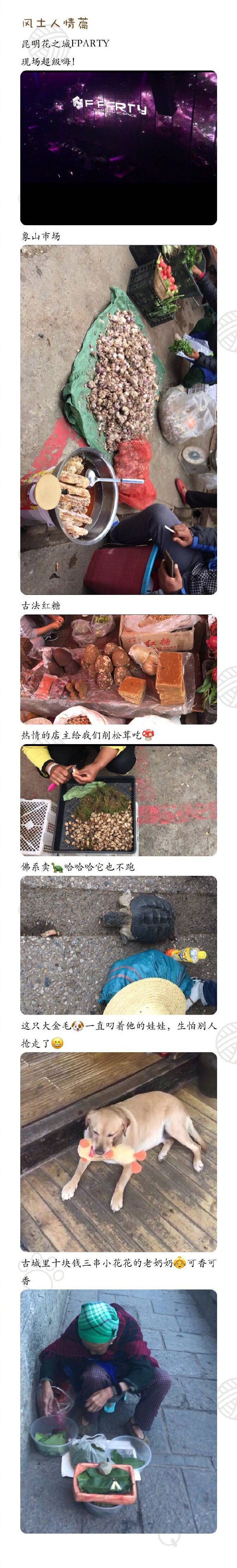 【不一样的7天6晚云南自由行】 一路逛逛走走，悠哉融入慢节奏生活 ●没有太多热门景点●却也更能感受当地丽江民宿，大理客栈的风土人情干货满满的旅行攻略～P1旅行准备 P2昆明九乡石林 P3-P6大理攻略丽江攻略 