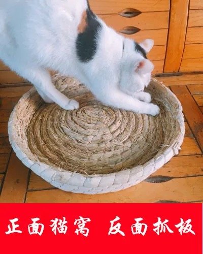 一到夏天，#鸡窝的买家秀全是猫#