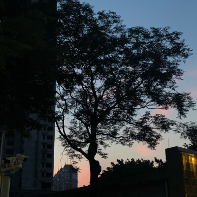 cyx自截图♡朋友圈背景 另类 