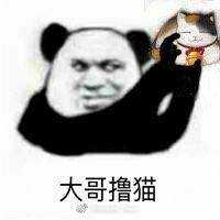 痒痒鼠