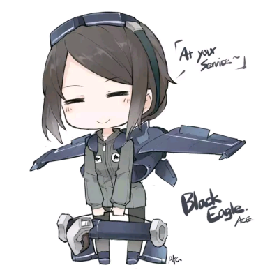 黑鹰 black eagle
afa子