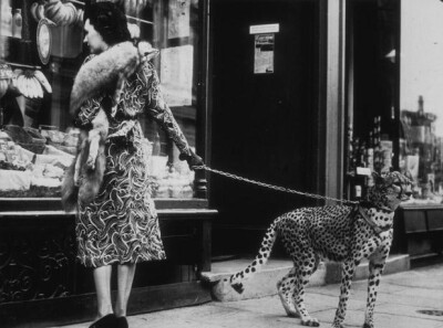 American silent film actress Phyllis Gordon (1889 - 1964) window-shopping in Earls Court, London with her four-year-old cheetah who was flown to Britain from Kenya.