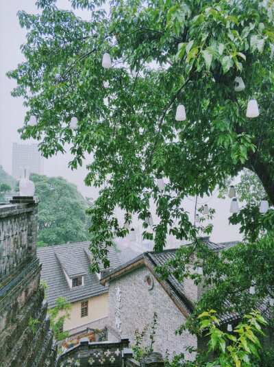 雨天和重庆