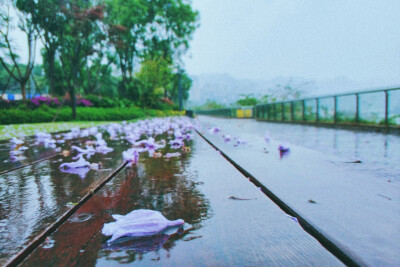 雨天和重庆