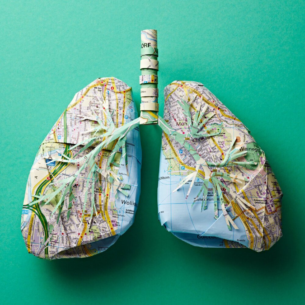 Katrin Rodegast制作的纸艺作品：苏黎世心脏，各种“内脏”器官，由苏黎世地图制作而成，公路与河流在纸雕上仿若是毛细血管般的存在。