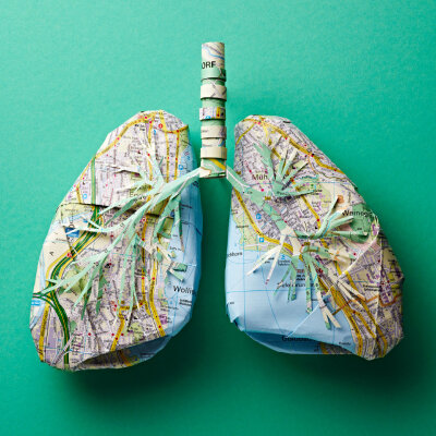 Katrin Rodegast制作的纸艺作品：苏黎世心脏，各种“内脏”器官，由苏黎世地图制作而成，公路与河流在纸雕上仿若是毛细血管般的存在。